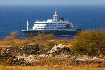 Confirman que el hantavirus que causó 3 muertes en un crucero es de la cepa transmisible entre humanos