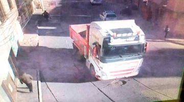 Capturan a conductor que  atropelló y mató a mujer,  luego huyó sin auxiliarla
