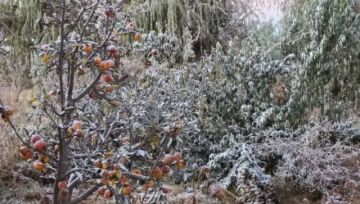 Chuquisaca: Heladas golpean Culpina con temperaturas bajo cero