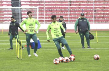 Así quedaría la gira de amistosos de la Verde en junio