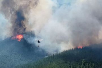 Los peores incendios en seis décadas arrasaron 60.000 hectáreas en la Patagonia Argentina
