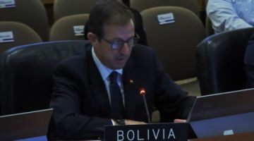 Siga la sesión del Consejo Permanente de la OEA que aborda la situación de Bolivia 