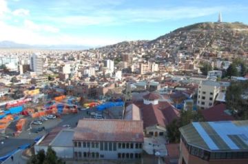 Oruro: Seis canes atacan a una mujer en Sora