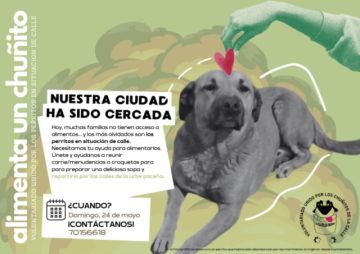 “La olla de los chuñitos” lanza campaña solidaria para alimentar a perros callejeros afectados por los bloqueos