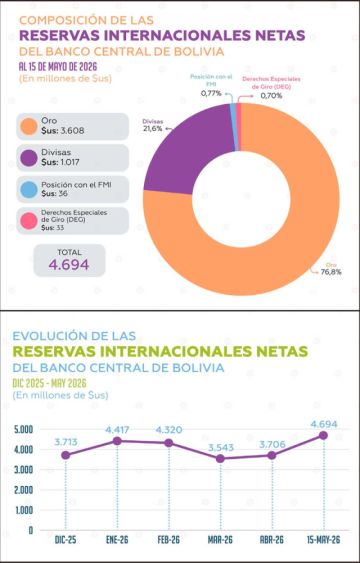 RIN tocan su mayor valor desde 2022, según el BCB