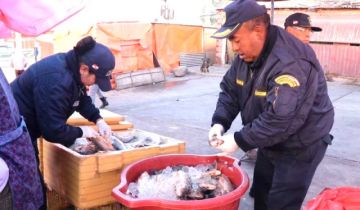 Intendencia realiza control de calidad en la venta de pescados del mercado Abasto