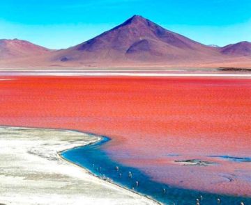 El sudoeste potosino soportara temperaturas de menos 15 grados