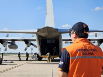 Llega a La Paz 11 toneladas de pollo mediante puente aéreo con Argentina