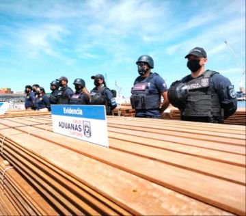 ‘Narcomadera’ boliviana, un botín de $us 8.300 millones