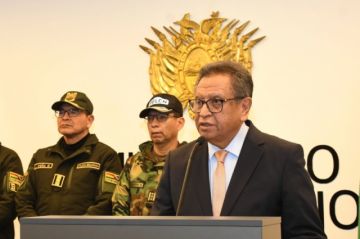Gobierno impulsa investigación internacional por caso “narcomadera”