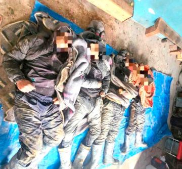 Entre 2022 y 2025, hubo 425 trabajadores mineros que perdieron la vida.