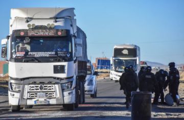 Diputada plantea ley para declarar el 20 de junio como «Día Nacional del Transportista Pesado»