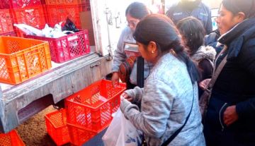 Venden pollo barato en la Villa Imperial directamente de los productores