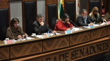 Cámara Alta vulnera procedimientos y aprueba segunda ley de Acceso a Información  