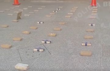 FELCN decomisó 100 paquetes de pasta base de cocaína en localidad fronteriza con Potosí