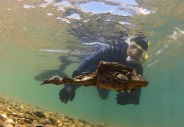 Clasifican a la rana gigante del Titicaca en peligro de extinción