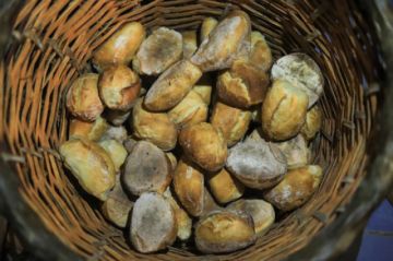 Panaderos buscan que la emblemática marraqueta sea Patrimonio de la Humanidad