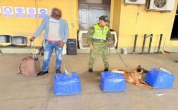Santa Cruz: Decomisan más de 160 kilos de droga en Viru Viru