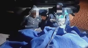 Investigan en Potosí la presunta caza ilegal de vicuñas