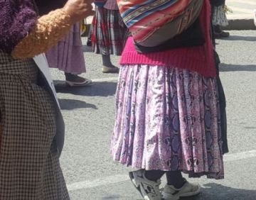 El Alto: FELCC aprehende al "varón solitario" se vestía con pollera para robar en tiendas y casas