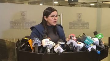 Diputada potosina pide la destitución del gerente de BoA