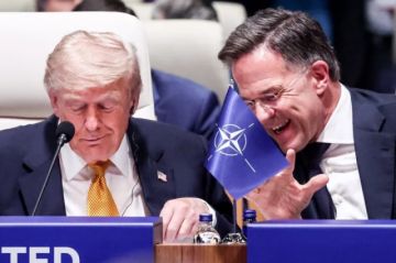 Rutte destaca la «unidad» en la cumbre de la OTAN y la acogida al liderazgo de Trump