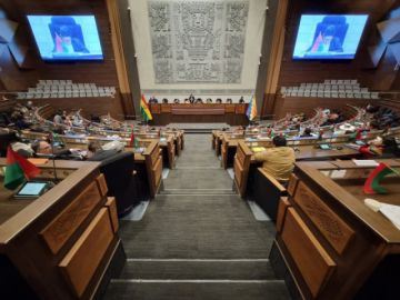 Libre anuncia el retiro del polémico proyecto de ley para legalizar autos chutos