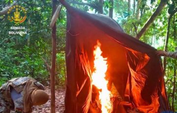 La Paz: Armada destruye cinco campamentos de minería ilegal en Madidi