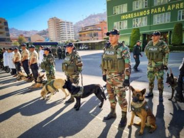 Oficial canino