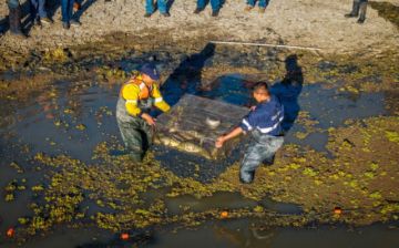 Gobernación de Cochabamba y Armada iniciaron proyecto para la conservación de la laguna Alalay