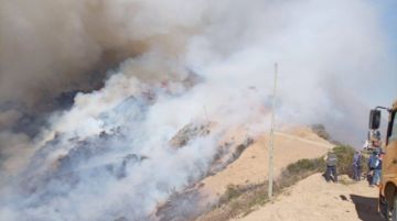 Reportan que incendio forestal de magnitud pone en riesgo a San Lorenzo, en Tarija