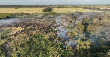 Incendios forestales se agravan en Santa Cruz y Tarija bajo alerta roja por vientos