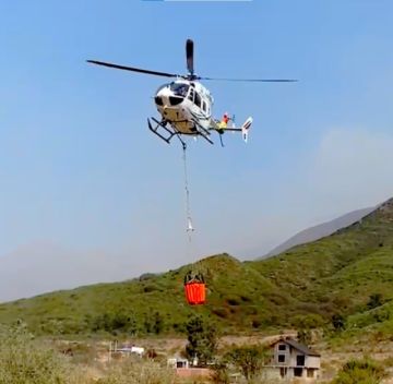 El Gobierno intervienen ante crisis de incendios forestales