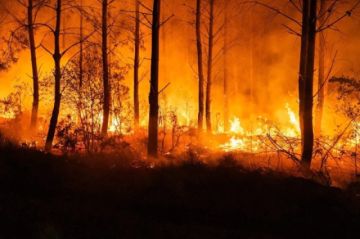 Evacuan en Francia 7 pueblos más cerca de Burdeos mientras avanza el gran incendio de Gironda