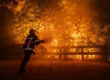 Ascienden a 220.000 los evacuados por el fuego en Gironda