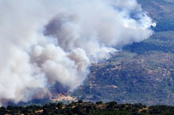 España: Los incendios forestales ya arrasaron con 172.400 hectáreas en lo que va de año