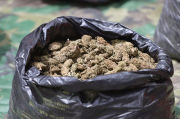 Sucre: Aprehenden a tres personas con más de 150 kilos marihuana