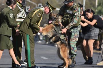 Rex es condecorado por el comandante de la Policía