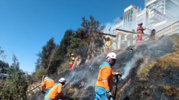 Controlan incendio forestal en la avenida Del Poeta
