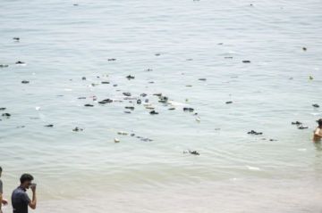 España: Ascienden a 67 los migrantes fallecidos en la costa de Ceuta tras la entrada masiva