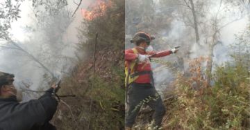 Incendio forestal en Punilla deja una persona herida