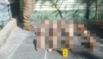 La Paz: Investigan presuntos restos de canes hallados en un basurero de Villa San Antonio