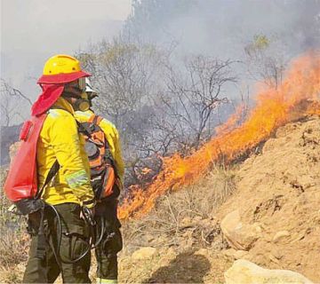 Incendios: “La mayoría fueron provocados”