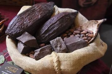 El Encuentro del Cacao Silvestre Boliviano se suspende hasta nuevo aviso