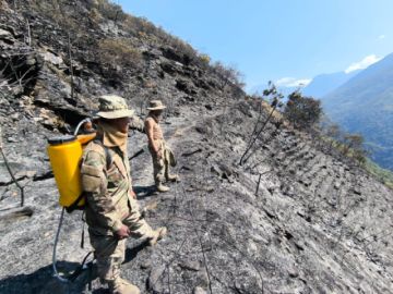 La Paz: Logran controlar incendio forestal en la comunidad de Tahuacusi