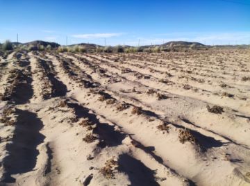 Gobierno anuncia entrega de más de 95.000 títulos agrarios
