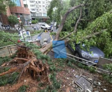 El tifón Dolphin deja más de 1,6 millones de evacuados y cancelaciones de vuelos en China