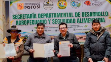 Atocha será sede de la XI Expo Feria Departamental de Camélidos 2026