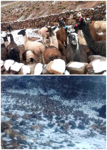 Uyuni reporta, al menos, 15 comunidades afectadas