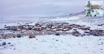 La nieve golpea a 123 comunidades  y se reporta la muerte de animales